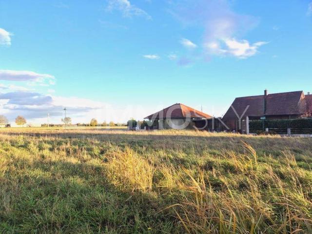 Immobilie kaufen in Oftering, Oberösterreich