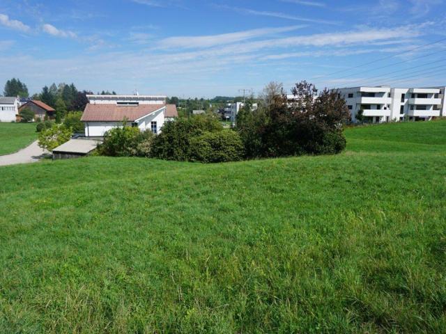 Immobilie kaufen in Ried im Innkreis, Oberösterreich