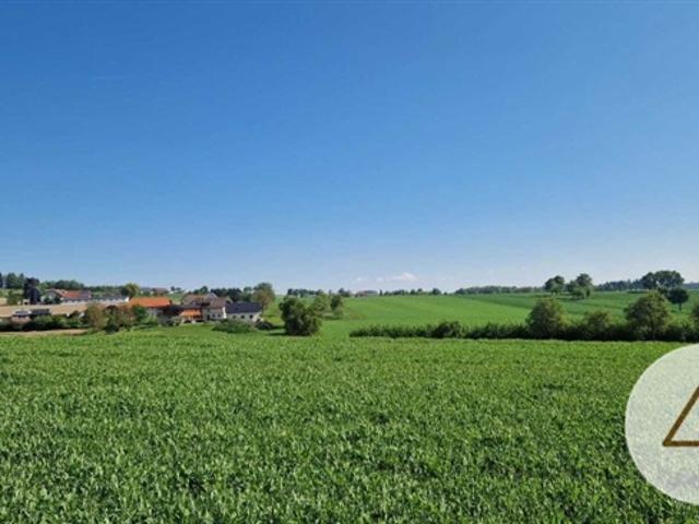 Grundstück kaufen in Pollham, Oberösterreich