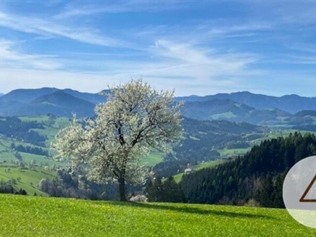 Grundstück kaufen in Randegg, Niederösterreich