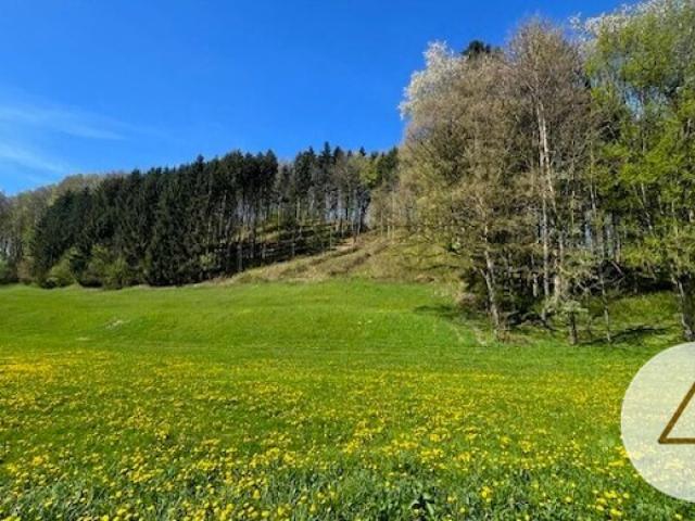 Grundstück kaufen in Randegg, Niederösterreich