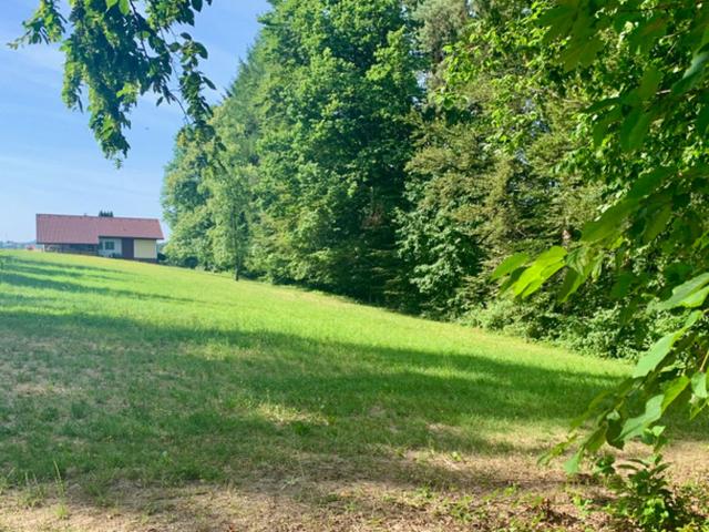 Grundstück kaufen in Edelsgrub, Steiermark