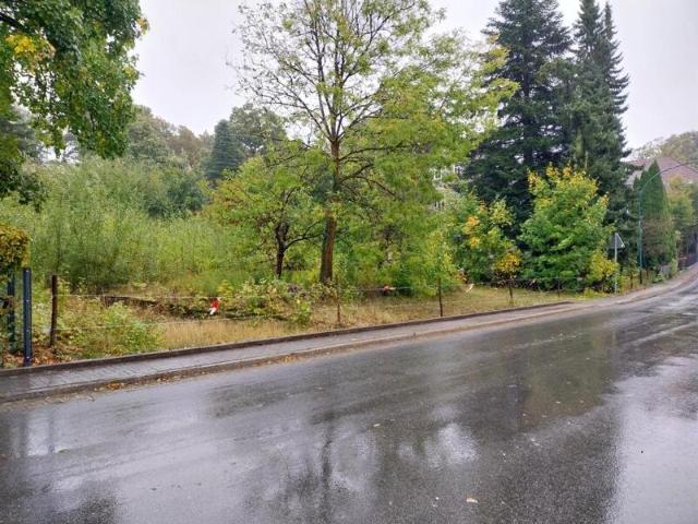 Erdgeschosswohnung kaufen in Clausthal-Zellerfeld, Niedersachsen