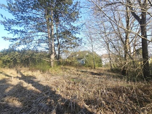 Grundstück kaufen in Kumberg, Steiermark