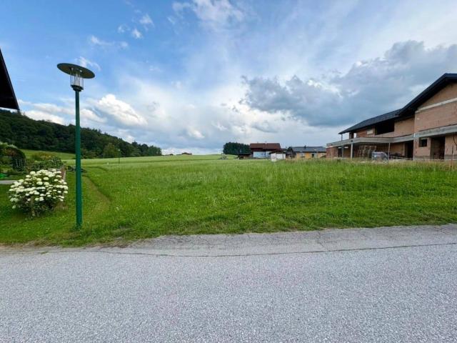 Immobilie kaufen in Obertrum, Salzburg