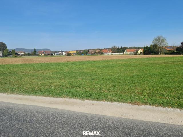 Grundstück kaufen in Gralla, Steiermark