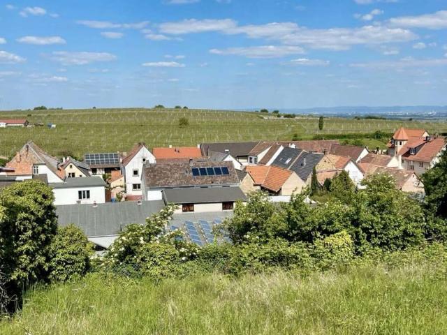 Erdgeschosswohnung kaufen in Leistadt, Bad Dürkheim