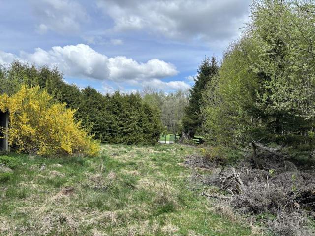 Grundstück kaufen in Urfahr, Linz