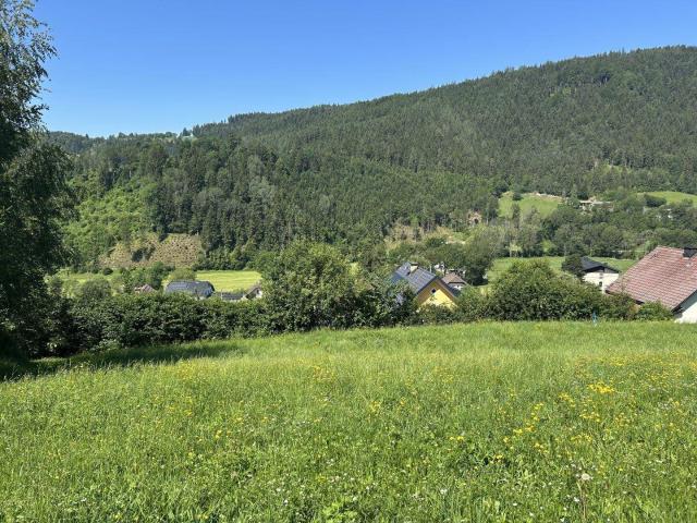 Immobilie kaufen in Klein St. Paul, Kärnten