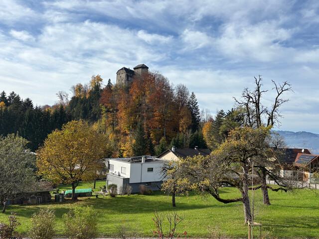 Grundstück kaufen in Hohenems, Vorarlberg