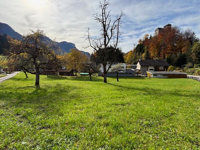 Grundstück kaufen in Hohenems, Vorarlberg