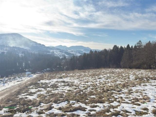 Grundstück kaufen in St. Georgen an der Leys, Niederösterreich