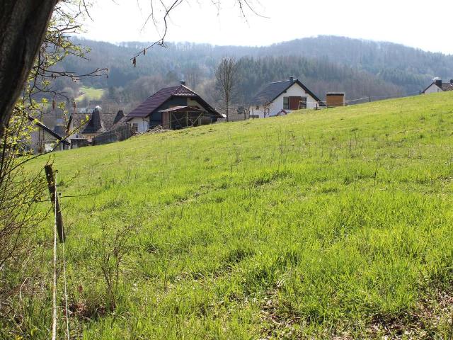 Erdgeschosswohnung kaufen in Gönnern, Landkreis Marburg-Biedenkopf