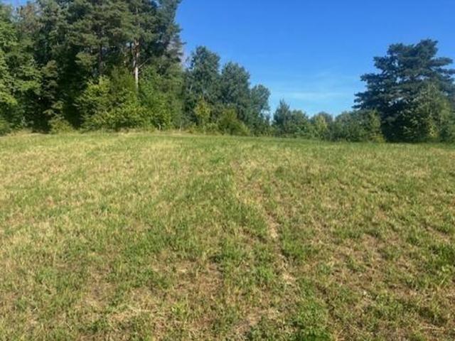 Grundstück kaufen in Pinkafeld, Burgenland