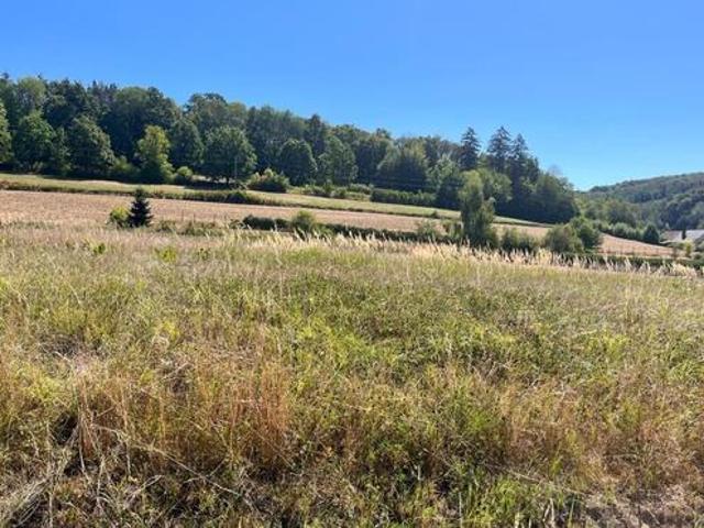 Grundstück kaufen in Burgenland