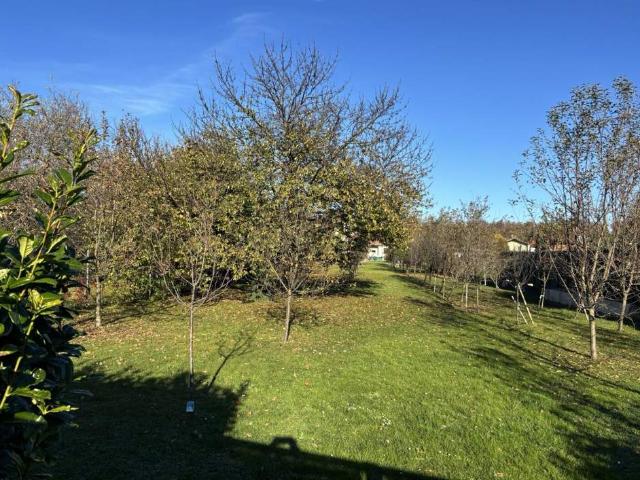 Grundstück kaufen in Oberpullendorf, Burgenland