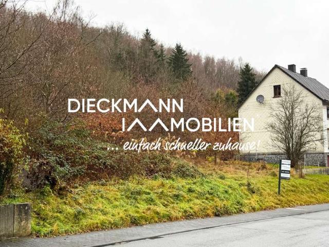 Erdgeschosswohnung kaufen in Niederdreisbach, Landkreis Altenkirchen (Westerwald)