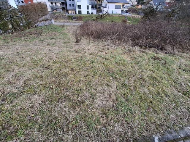 Erdgeschosswohnung kaufen in Frammersbach, Bayern