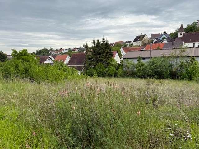 Erdgeschosswohnung kaufen in Albeck, Langenau