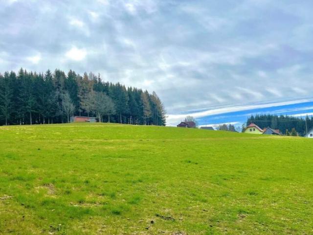 Grundstück kaufen in St. Marein, Wolfsberg