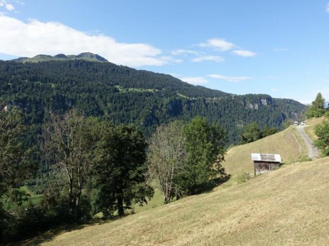 Grundstück kaufen in Ruschein, Graubünden