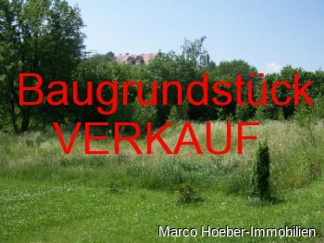 Landwirtschaft kaufen in Rotschau, Reichenbach