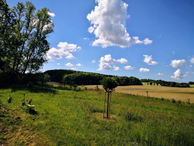 Erdgeschosswohnung mieten in Satow, Mecklenburg-Vorpommern