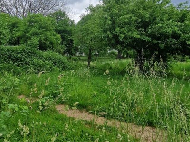 Grundstück kaufen in Götzis, Vorarlberg