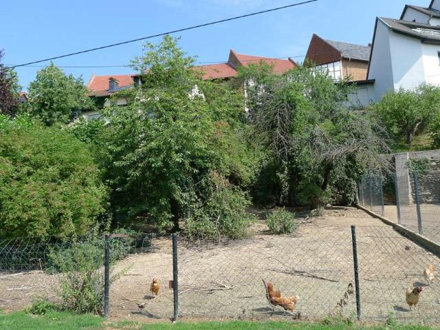 Erdgeschosswohnung kaufen in Walsdorf, Rheingau-Taunus-Kreis