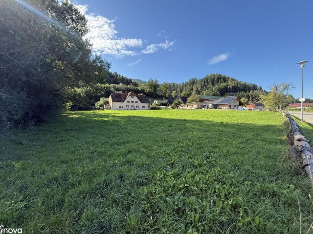 Grundstück kaufen in Niklasdorf, Steiermark