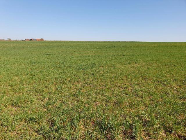 Immobilie kaufen in Gilgenberg am Weilhart, Oberösterreich