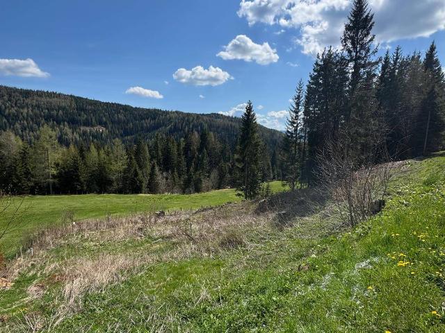 Immobilie kaufen in Oberwölz, Steiermark