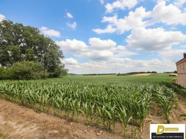 Grundstück kaufen in Rangersdorf, Kärnten