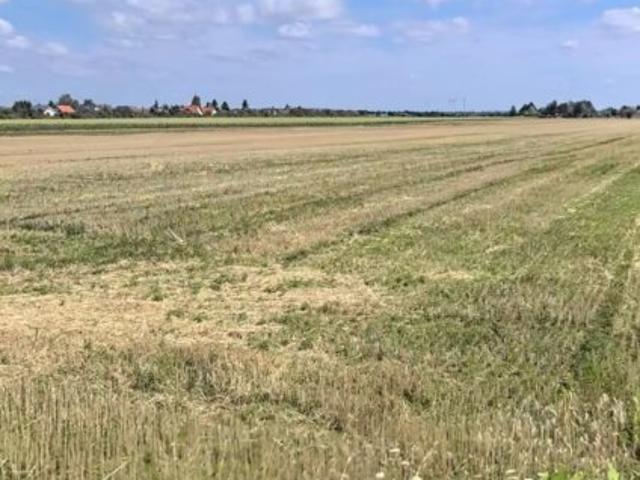 Grundstück kaufen in Gänserndorf, Niederösterreich