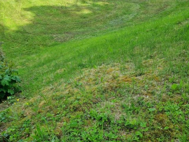 Grundstück kaufen in Walding, Oberösterreich
