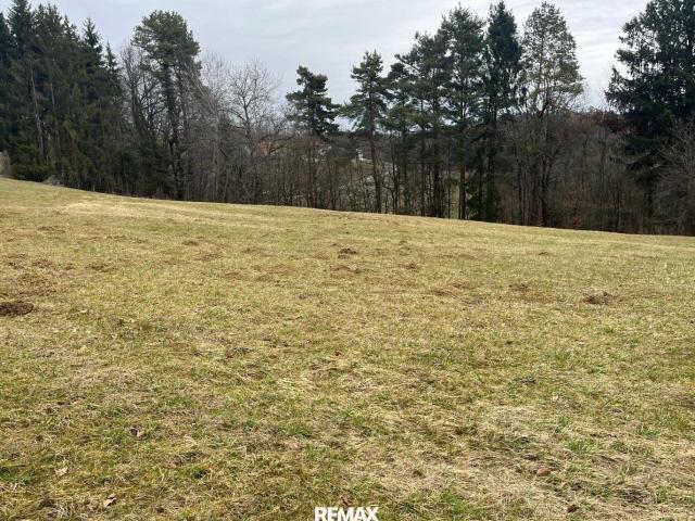 Grundstück kaufen in Edelsgrub, Steiermark