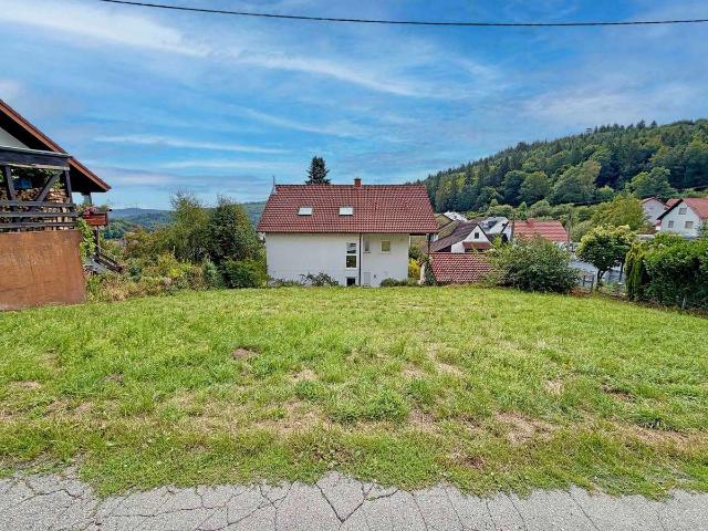 Erdgeschosswohnung kaufen in Wilhelmsfeld, Rhein-Neckar-Kreis