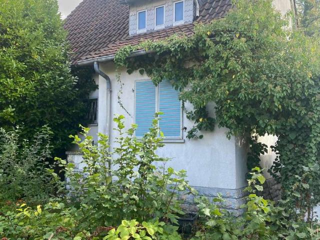 Erdgeschosswohnung kaufen in Bad Homburg vor der Höhe, Hochtaunuskreis