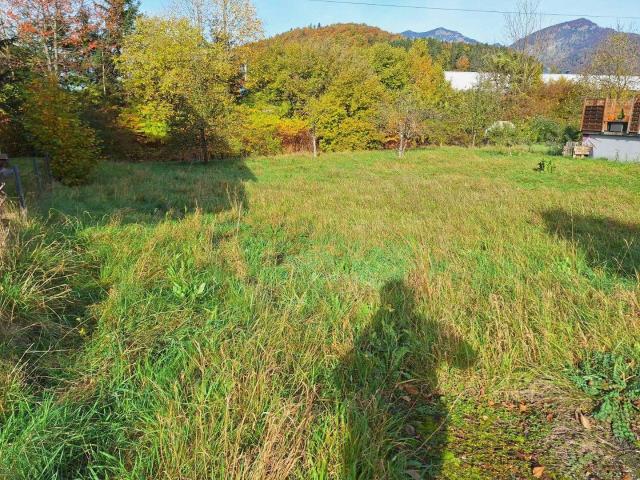 Immobilie kaufen in Reiterndorf, Ahorn