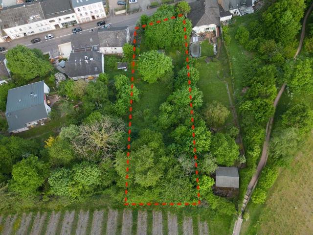 Erdgeschosswohnung kaufen in Saarburg, Landkreis Trier-Saarburg