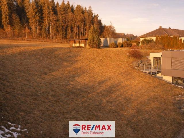 Immobilie kaufen in Liebenfels, Kärnten