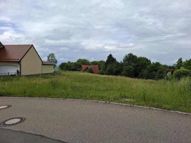 Erdgeschosswohnung kaufen in Berg im Gau, Bayern