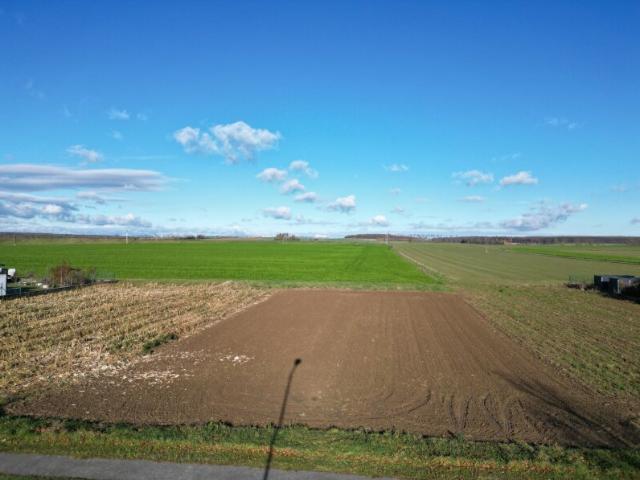 Grundstück kaufen in Lutzmannsburg, Burgenland