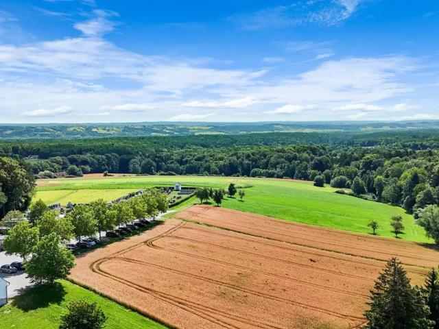 Grundstück kaufen in Buch-Geiseldorf, Steiermark