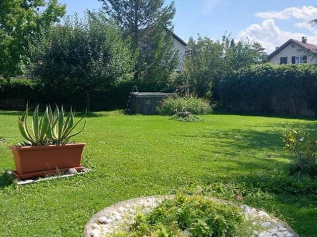 Grundstück kaufen in Lustenau, Vorarlberg