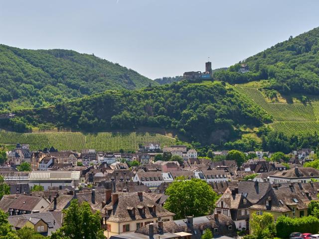 Landwirtschaft kaufen in Bernkastel-Kues, Rheinland-Pfalz