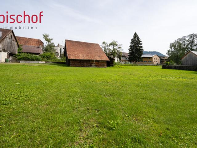 Grundstück kaufen in Lauterach, Vorarlberg