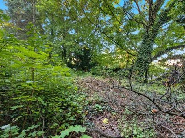 Grundstück kaufen in Bisamberg, Niederösterreich