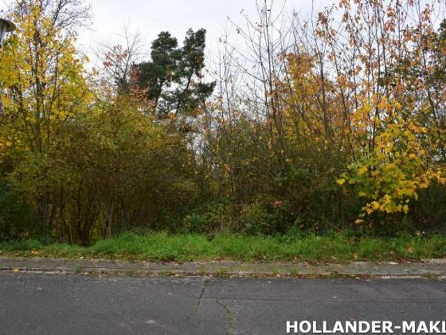 Erdgeschosswohnung kaufen in Reil, Rheinland-Pfalz