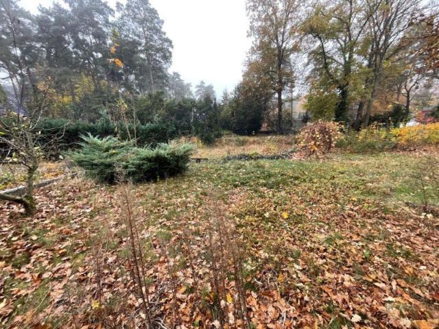 Landwirtschaft kaufen in Schildow, Brandenburg